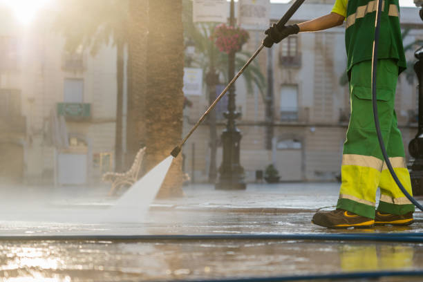Best Roof Pressure Washing  in Cokato, MN