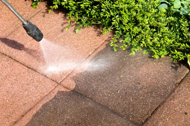 Best Pressure Washing Company Near Me  in Cokato, MN